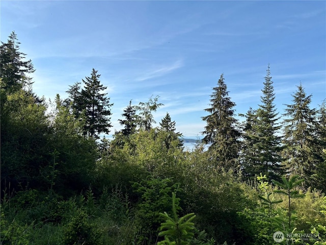 0 Raccoon Point Rd Lot 19, Orcas Island, WA 98245