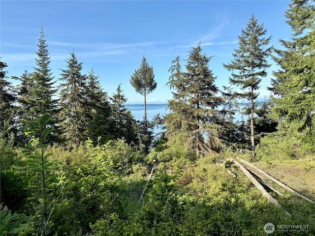 0 Raccoon Point Rd Lot 19, Orcas Island, WA 98245