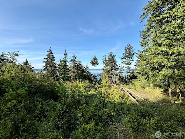 0 Raccoon Point Rd Lot 19, Orcas Island, WA 98245