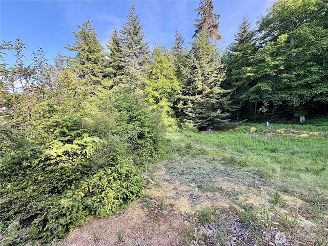 0 Raccoon Point Rd Lot 19, Orcas Island, WA 98245