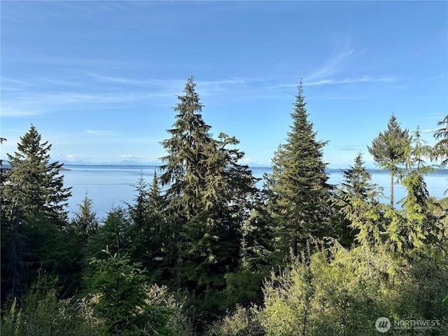 0 Raccoon Point Rd Lot 19, Orcas Island, WA 98245