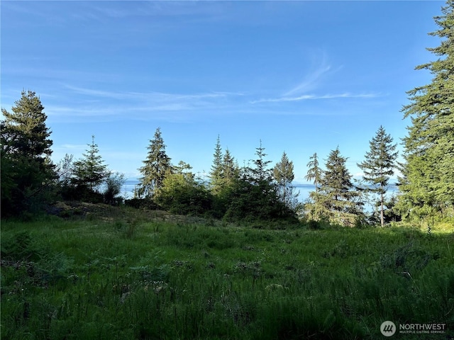 0 Raccoon Point Rd Lot 19, Orcas Island, WA 98245