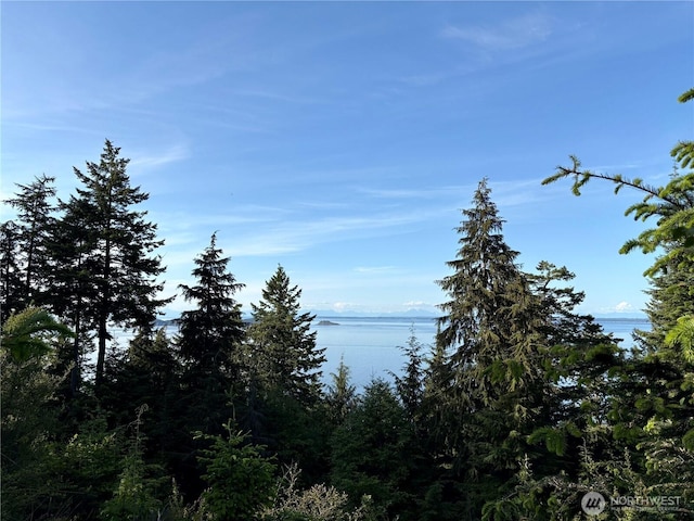 0 Raccoon Point Rd Lot 19, Orcas Island, WA 98245