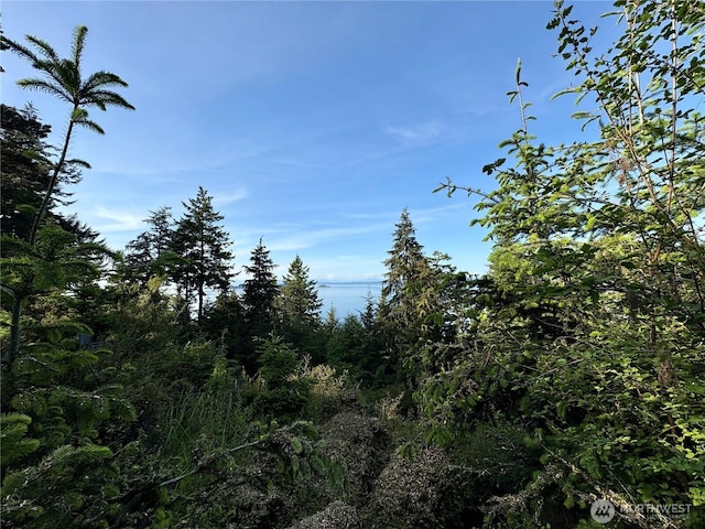 0 Raccoon Point Rd Lot 19, Orcas Island, WA 98245