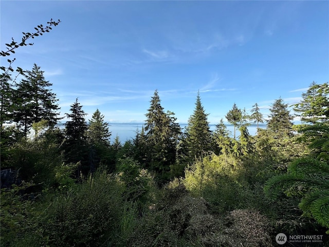 0 Raccoon Point Rd Lot 19, Orcas Island, WA 98245