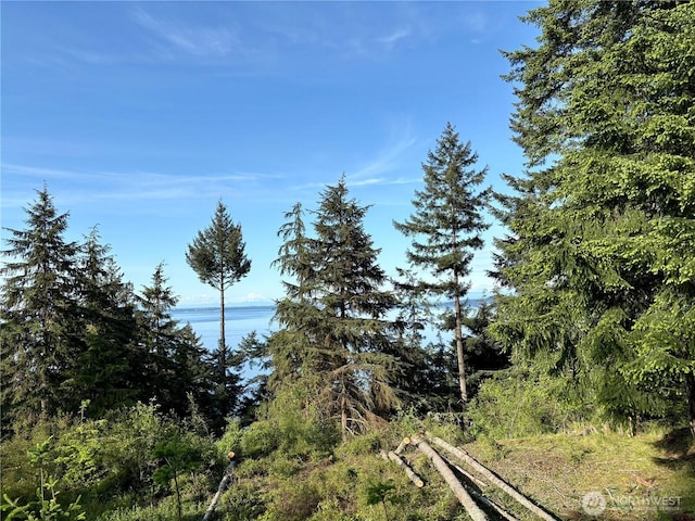 0 Raccoon Point Rd Lot 19, Orcas Island, WA 98245