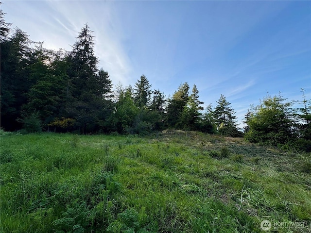 0 Raccoon Point Rd Lot 19, Orcas Island, WA 98245