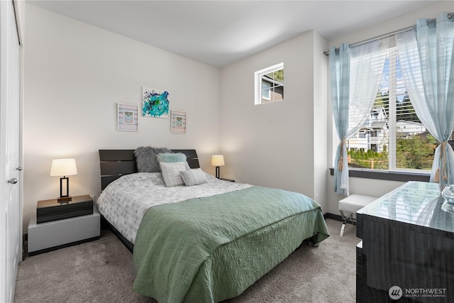 17431 3rd Ave SE, Bothell, WA 98012 - bedroom with carpet and baseboards
