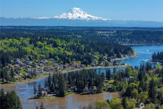 6207 Artondale Dr NW, Gig Harbor, WA 98335 - photo 8