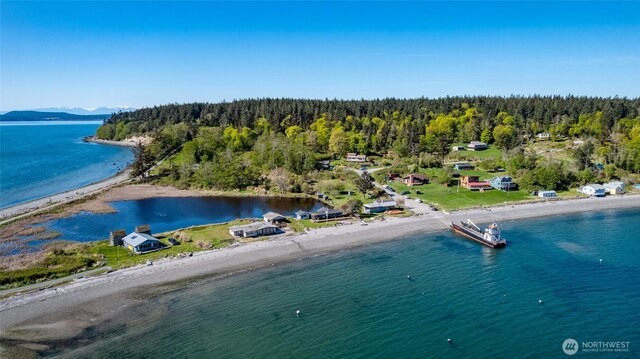 drone / aerial view featuring a forest view and a water view