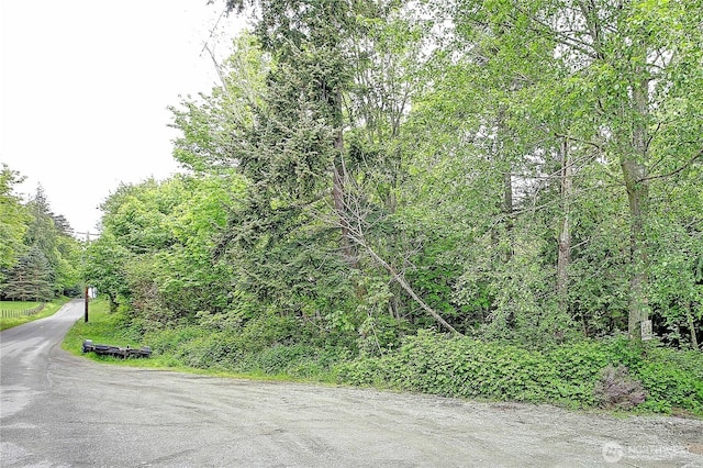 0 SE Camano Dr, Camano Island, WA 98282 - photo 2