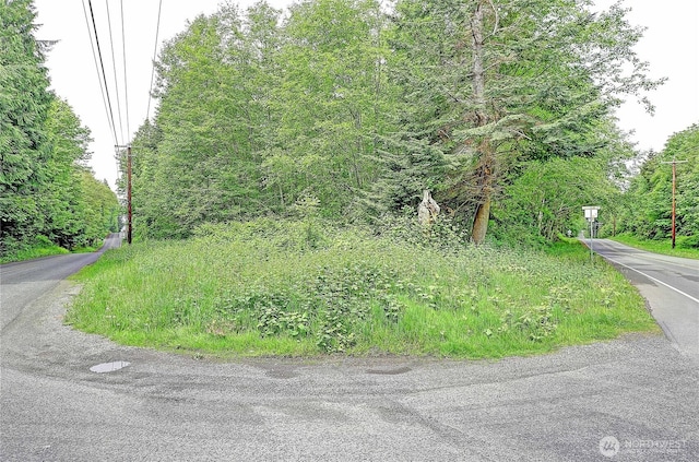 0 SE Camano Dr, Camano Island, WA 98282 - photo 17