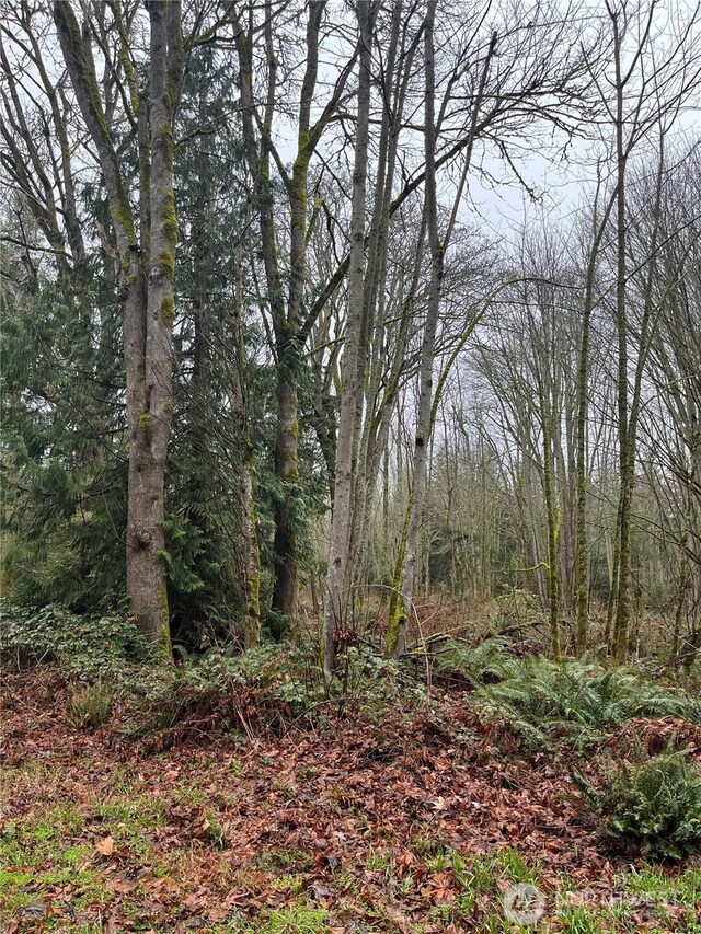 0 SE Camano Dr, Camano Island, WA 98282 - photo 20