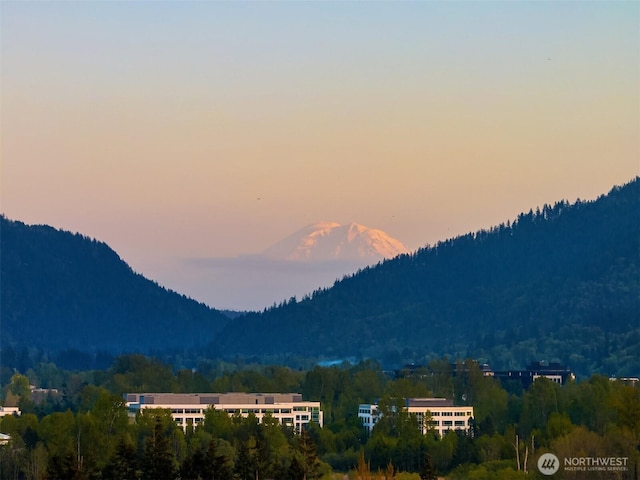 view of mountain feature with a wooded view