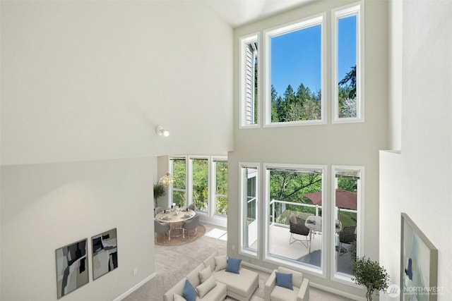 9821 NE Riverbend Dr Unit C102, Bothell, WA 98011 - carpeted living area with a towering ceiling