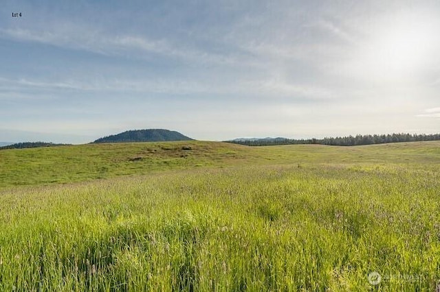 3737C S Jumpoff Rd Lot 4, Valley, WA 99181
