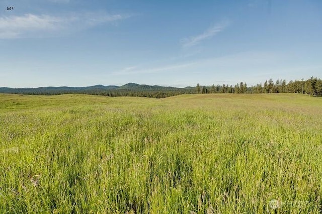 3737C S Jumpoff Rd Lot 4, Valley, WA 99181