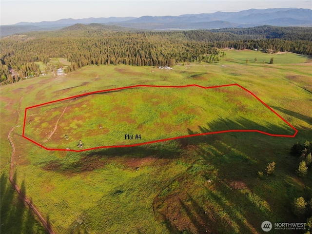 3737C S Jumpoff Rd Lot 4, Valley, WA 99181