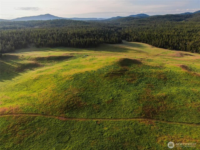3737C S Jumpoff Rd Lot 4, Valley, WA 99181