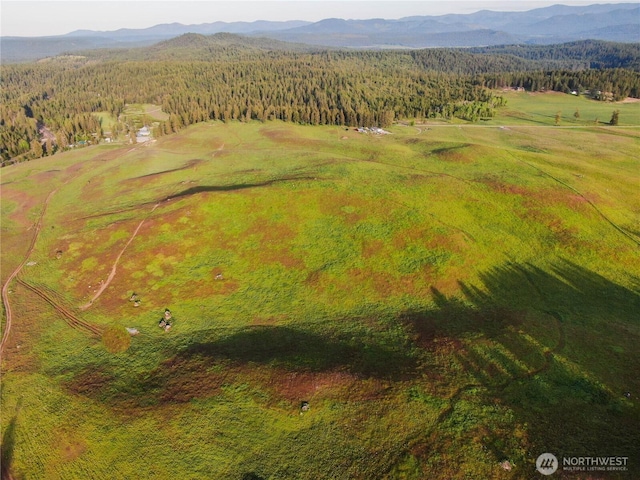 3737C S Jumpoff Rd Lot 4, Valley, WA 99181