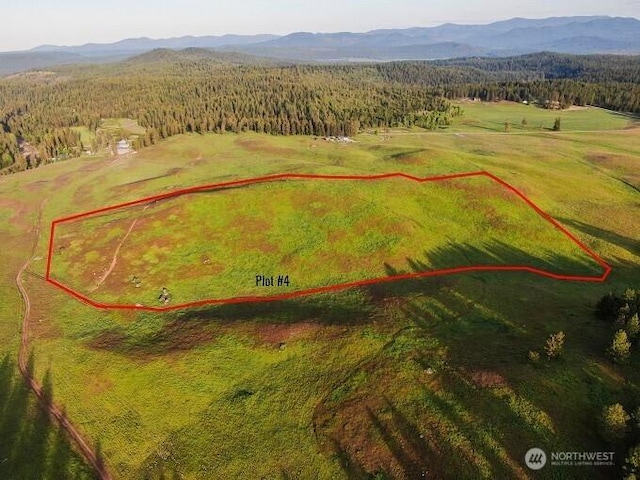 3737C S Jumpoff Rd Lot 4, Valley, WA 99181