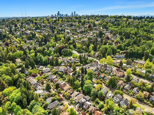 aerial view