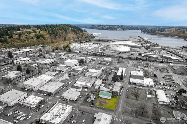228 S 3rd St, Shelton, WA 98584 - drone / aerial view with a view of trees and a water view