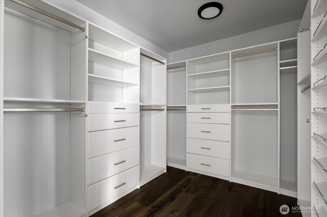 spacious closet featuring dark wood-style floors