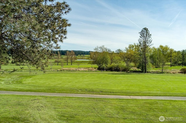 surrounding community with a yard