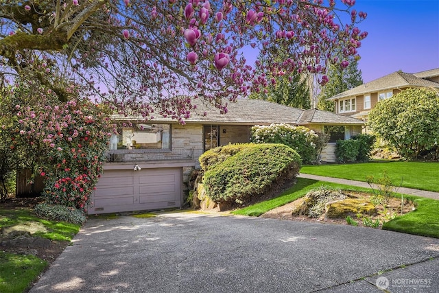 5429 NE Windermere Rd, Seattle, WA 98105 - view of front of property with an attached garage, stone siding, driveway, and a front yard