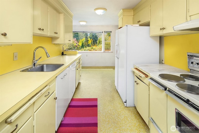 5429 NE Windermere Rd, Seattle, WA 98105 - kitchen featuring a sink, light countertops, baseboards, under cabinet range hood, and white appliances