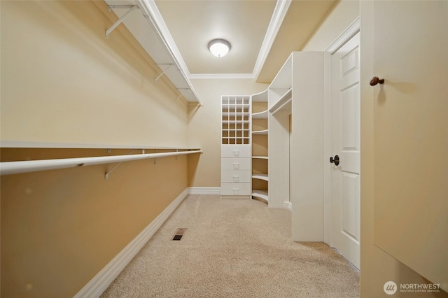 162 Costello Pl, Walla Walla, WA 99362 - walk in closet with visible vents and carpet floors
