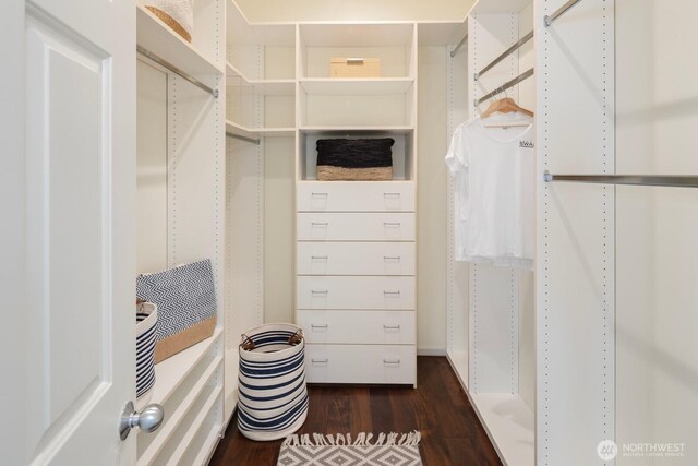spacious closet with dark wood finished floors