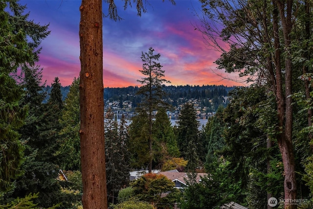 water view featuring a view of trees