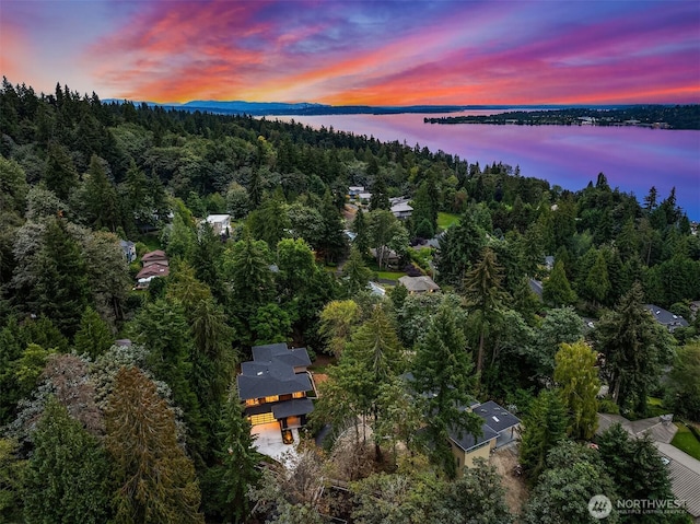 bird's eye view featuring a forest view and a water view