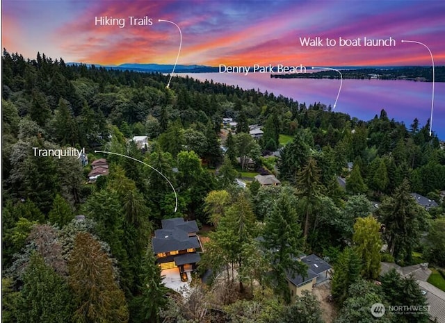 6431 NE 130th Pl, Kirkland, WA 98034 - aerial overview of property's location with a heavily wooded area and a nearby body of water