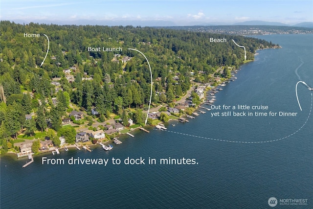 6431 NE 130th Pl, Kirkland, WA 98034 - aerial overview of property's location with a heavily wooded area and a water and mountain view