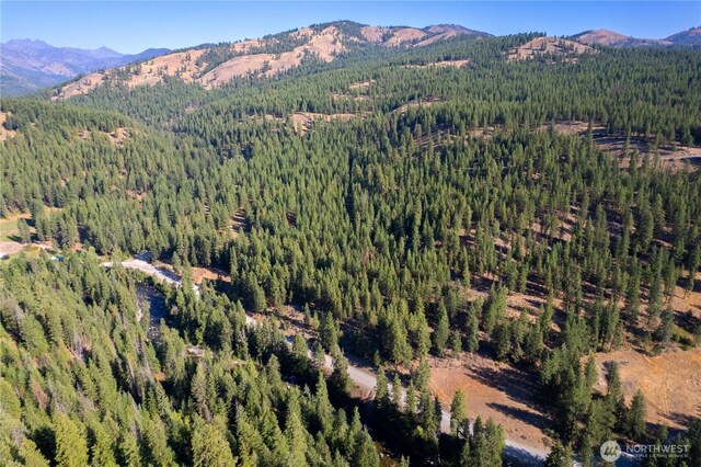 799 Twisp River Rd, Twisp, WA 98856