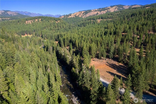799 Twisp River Rd, Twisp, WA 98856