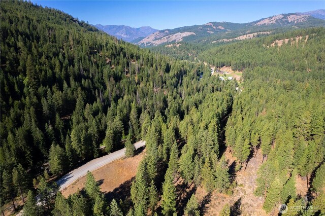 799 Twisp River Rd, Twisp, WA 98856