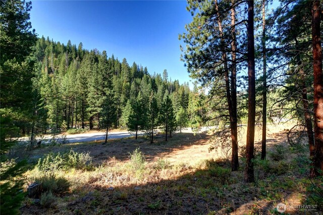 799 Twisp River Rd, Twisp, WA 98856