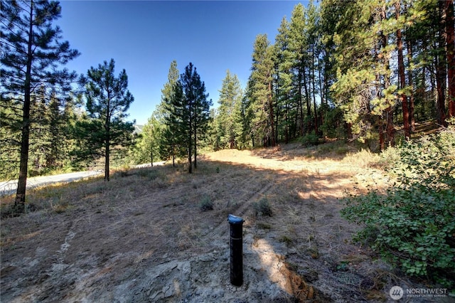 799 Twisp River Rd, Twisp, WA 98856