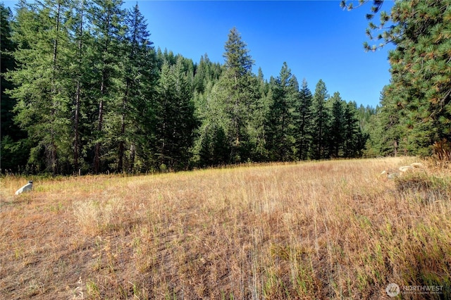 799 Twisp River Rd, Twisp, WA 98856