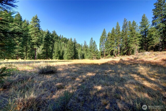 799 Twisp River Rd, Twisp, WA 98856