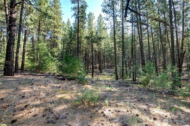 799 Twisp River Rd, Twisp, WA 98856