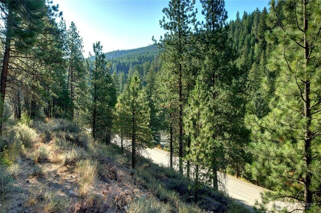 799 Twisp River Rd, Twisp, WA 98856