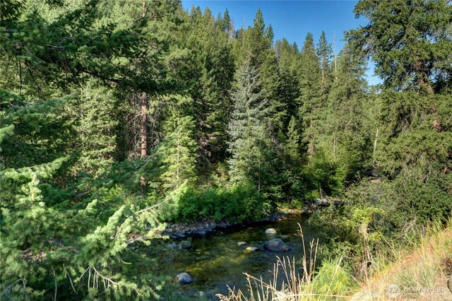 799 Twisp River Rd, Twisp, WA 98856