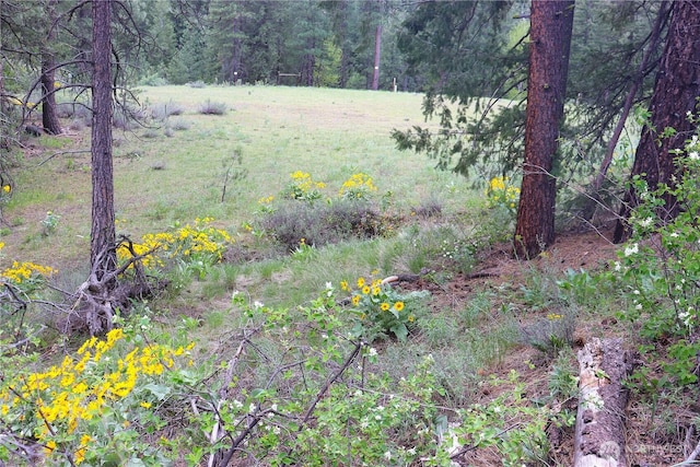 799 Twisp River Rd, Twisp, WA 98856