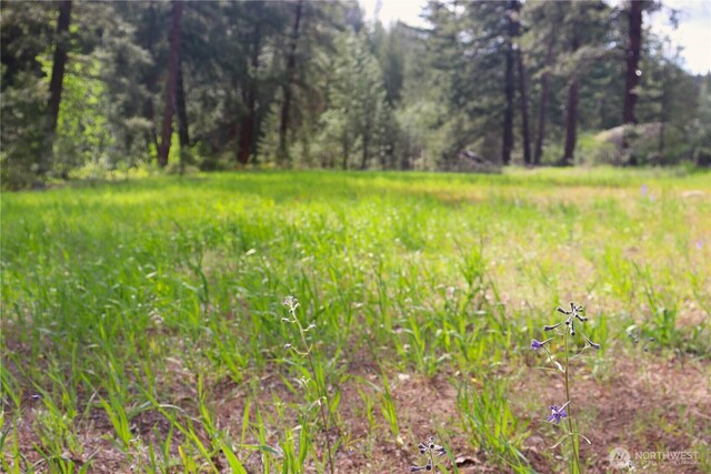 799 Twisp River Rd, Twisp, WA 98856