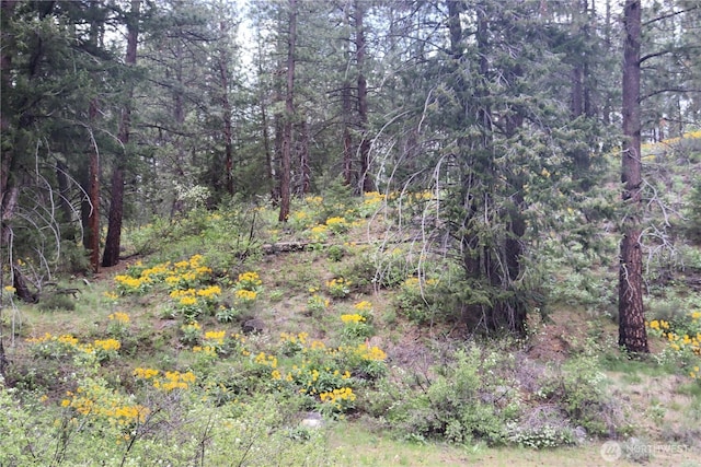 799 Twisp River Rd, Twisp, WA 98856